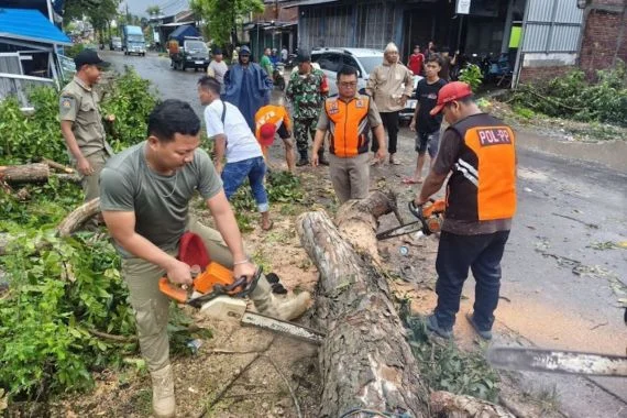 Angin Kencang Kudus: Ratusan Rumah Rusak, Warga Mengungsi