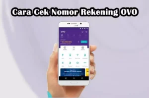 Cara Lupa Nomor HP OVO? Ini Solusi Saldo Aman 2026