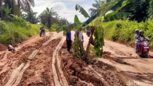 Jalan Rusak Kayen Pati: Protes Warga dengan Pohon Pisang