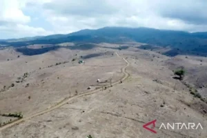 Kemarau Sumsel 2026: Jadwal Lengkap & Antisipasi Karhutla