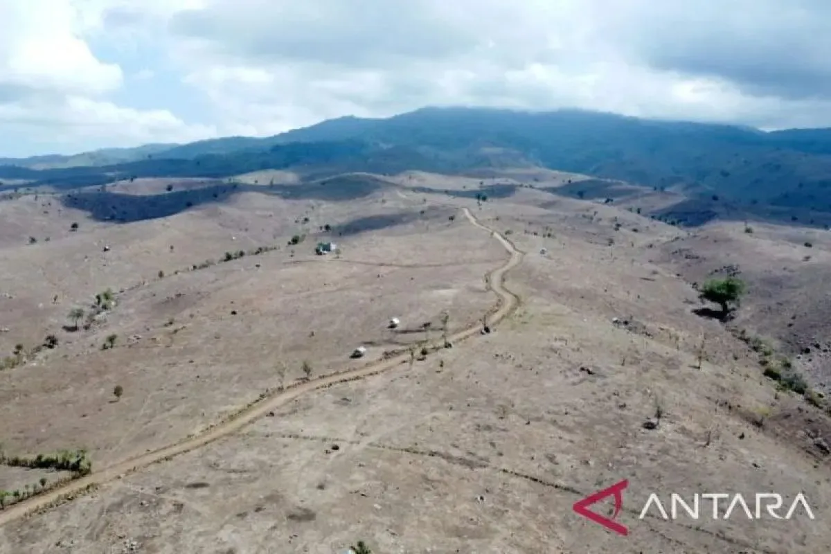 Kemarau Sumsel 2026: Jadwal Lengkap & Antisipasi Karhutla