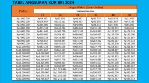 KUR TKI BRI 2026: Syarat, Tabel Angsuran, dan Plafon Pinjaman