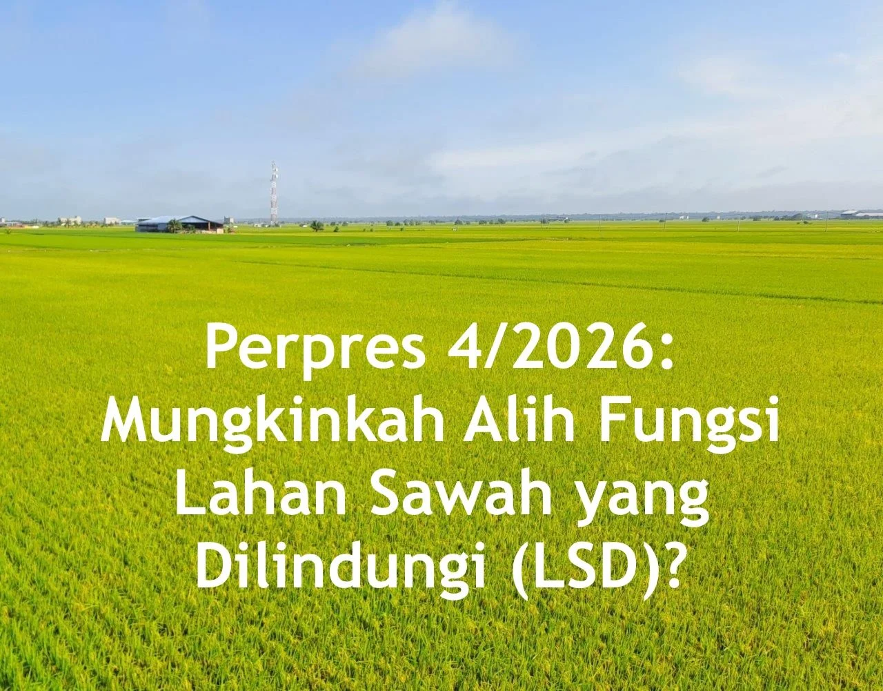 Lahan Sawah Dilindungi: 6,5 Juta Hektare Aman di 2026