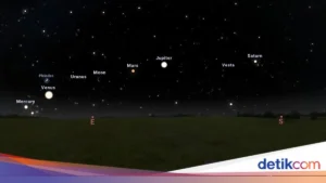 Pink Moon 2026: Jadwal Lengkap & Cara Terbaik Melihatnya