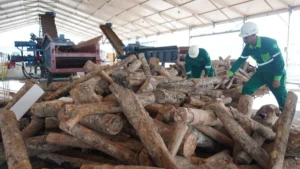 WFA 2026: Semarang Tunggu Lampu Hijau Kemendagri!