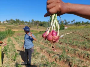 AI Pertanian 2026: Cara Tingkatkan Panen Petani Indonesia