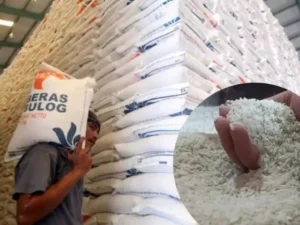 Cadangan Beras Pemerintah 4,5 Juta Ton untuk Stabilitas Pangan 2026