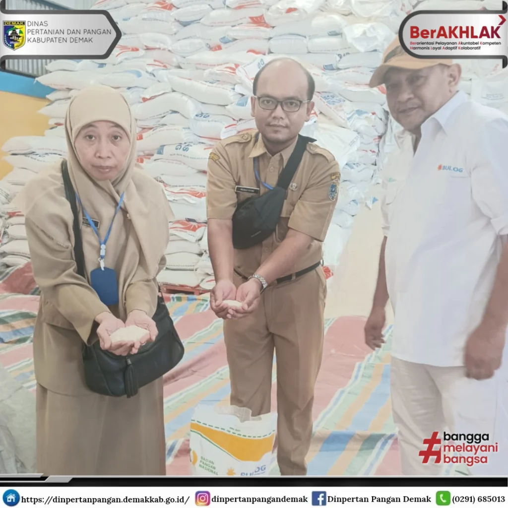 Cek Bantuan Beras CBP NIK KTP Secara Daring di Tahun 2026