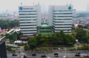 Chandra Daya Investasi Perluas Jalur Asia-Eropa via Kapal Boreas 9.000 DWT