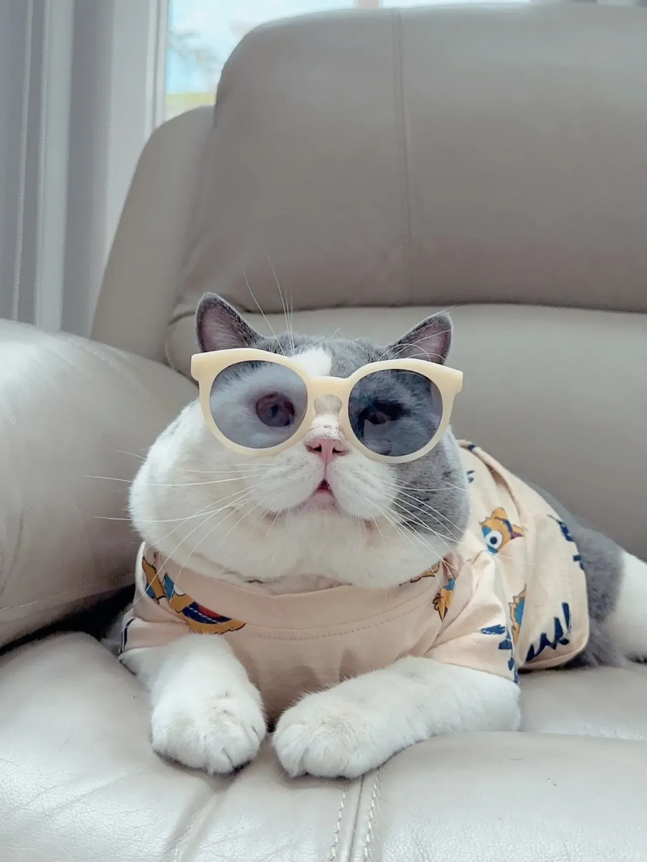 Daftar Shopee Affiliate Program 2026: Raup Cuan Jutaan Hari Ini