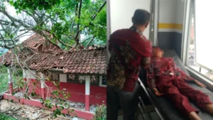 Pohon Tumbang Timpa SDN Cianjur, Enam Siswa Menjalani Perawatan