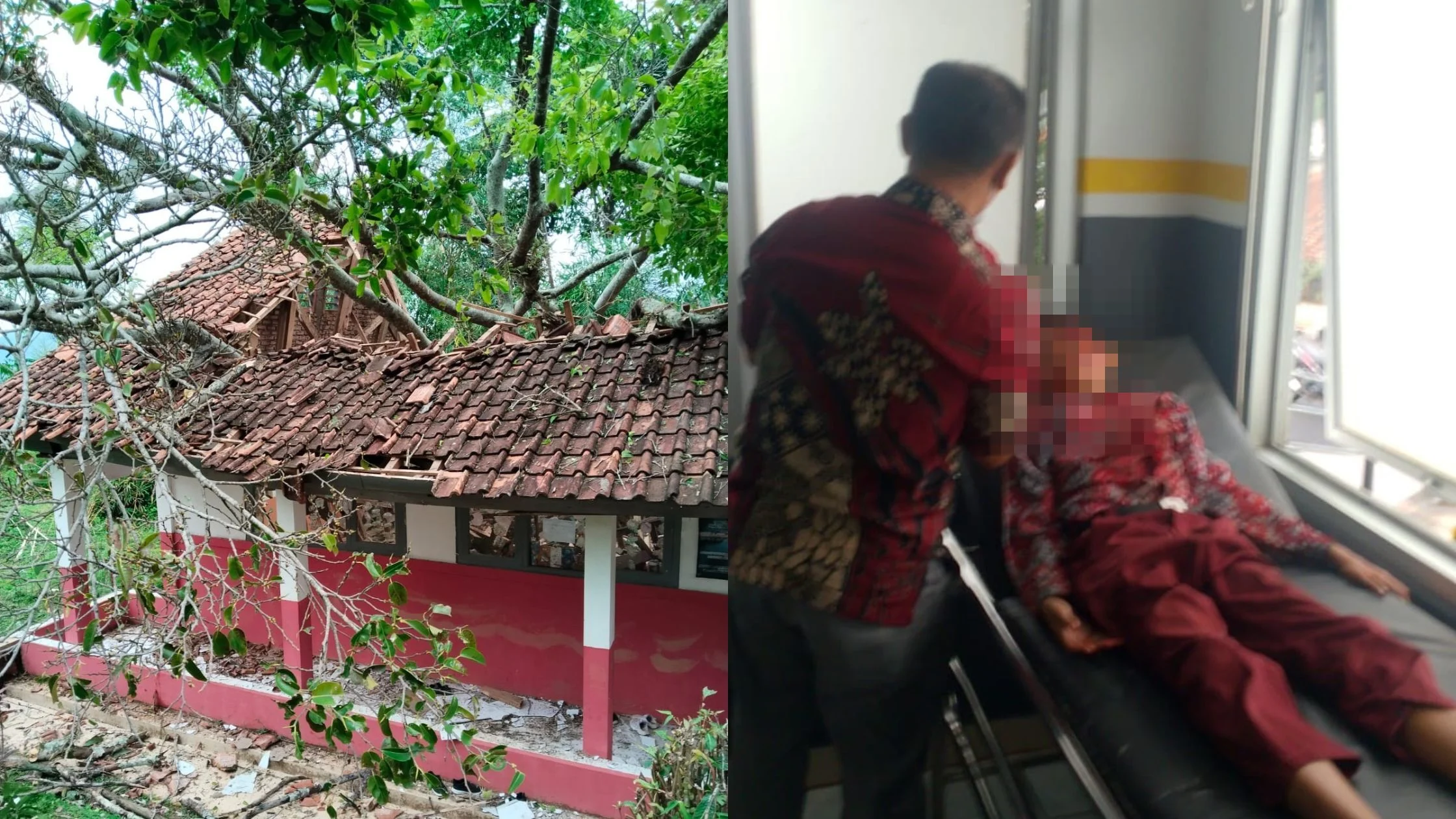 Pohon Tumbang Timpa SDN Cianjur, Enam Siswa Menjalani Perawatan