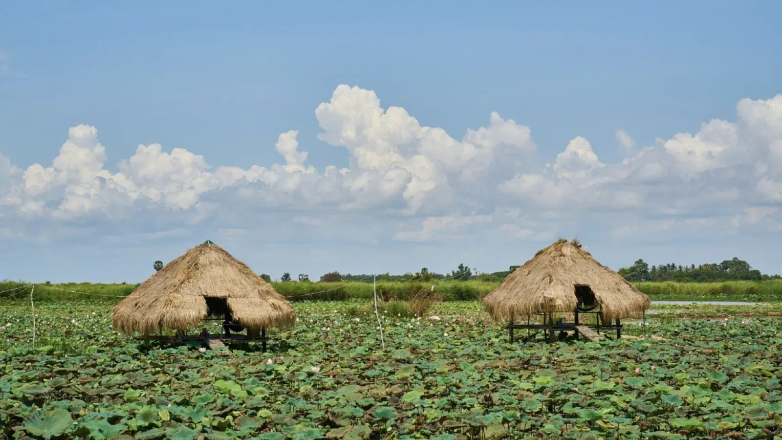 Potongan Dana Desa BLT 2026: Dampak dan Tantangan Pemangkasan