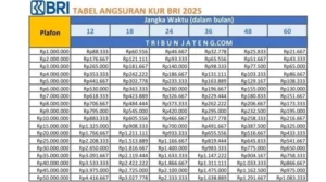 Tabel Angsuran KUR BRI 2026: Syarat, Bunga, dan Plafon