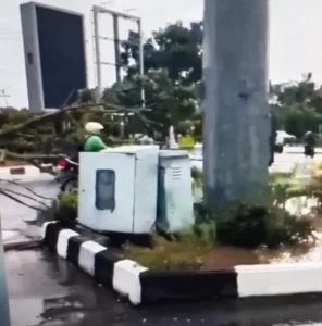 Tol Jakarta Terganggu: Pohon Tumbang & Fasilitas Rusak!