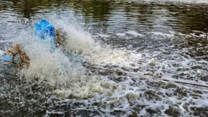 Workplace Gratitude Meningkatkan Kinerja Karyawan Tambak Udang secara Signifikan pada 2026